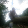 mmullican1